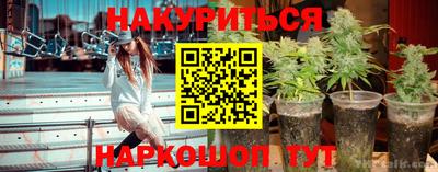 прущие грибы Тверь
