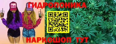 МДПВ Тара