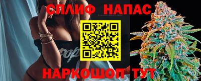 МДПВ Тара